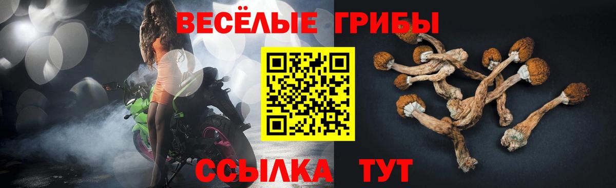 Псилоцибиновые грибы мицелий Павлово